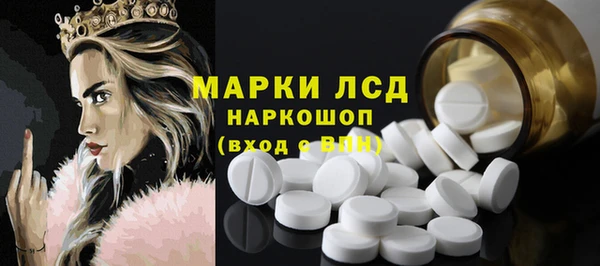 хмурый Абаза