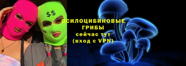 мяу мяу мука Алзамай
