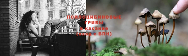 PSILOCYBIN Алексеевка