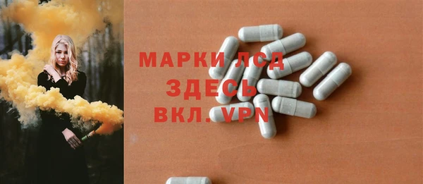 хмурый Абаза