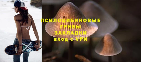 PSILOCYBIN Алексеевка