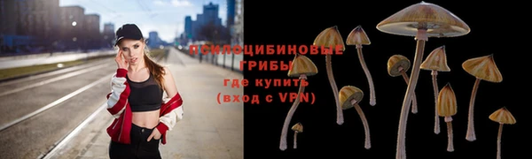 мяу мяу мука Алзамай
