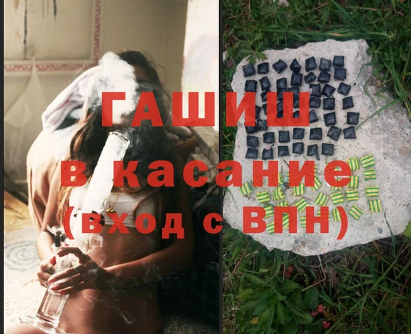 хмурый Абаза