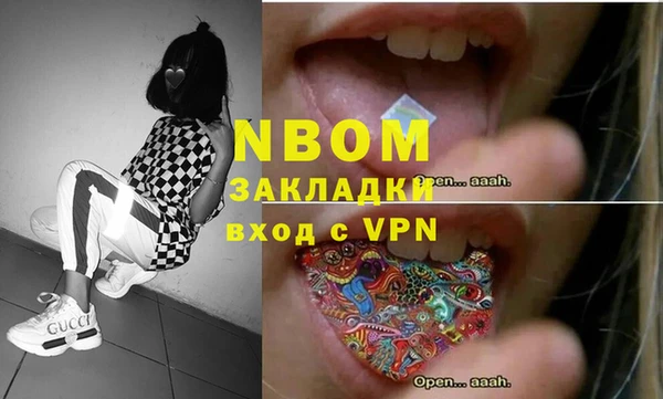 хмурый Абаза