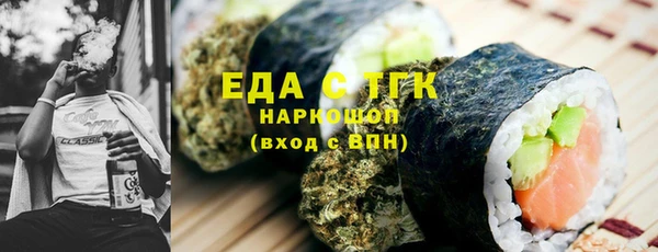 хмурый Абаза