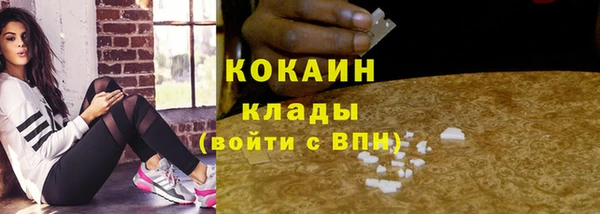 хмурый Абаза